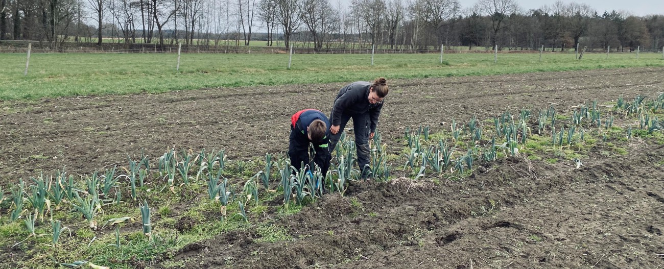 Bio, Landwirtschaft, Abo, Abokiste, Fleisch, Gemüse, Gemüsekiste, Bauernhof, Hof