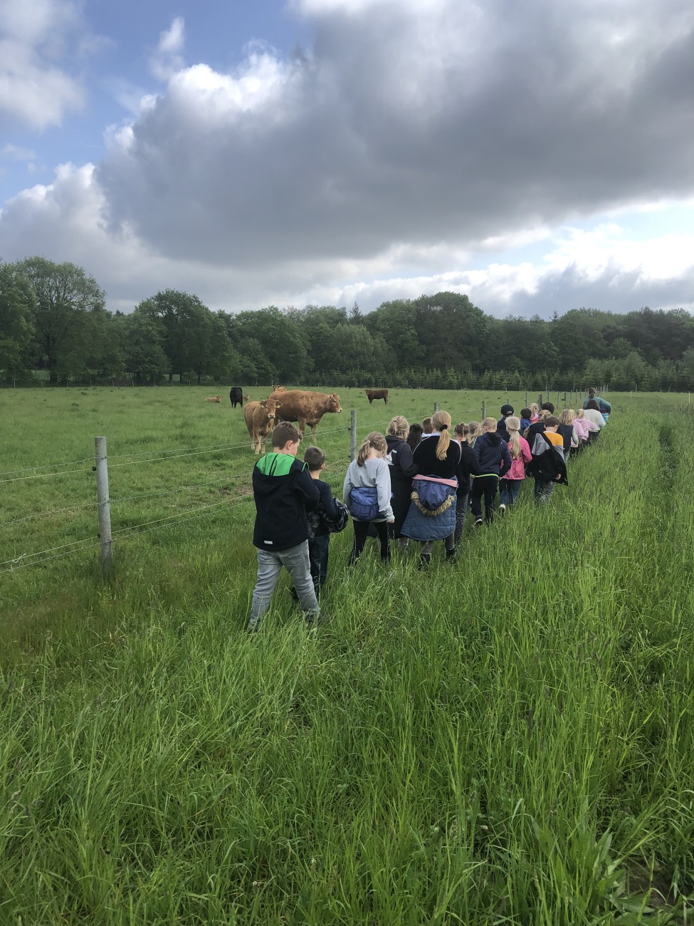 Bio, Landwirtschaft, Abo, Abokiste, Fleisch, Gemüse, Gemüsekiste, Bauernhof, Hof