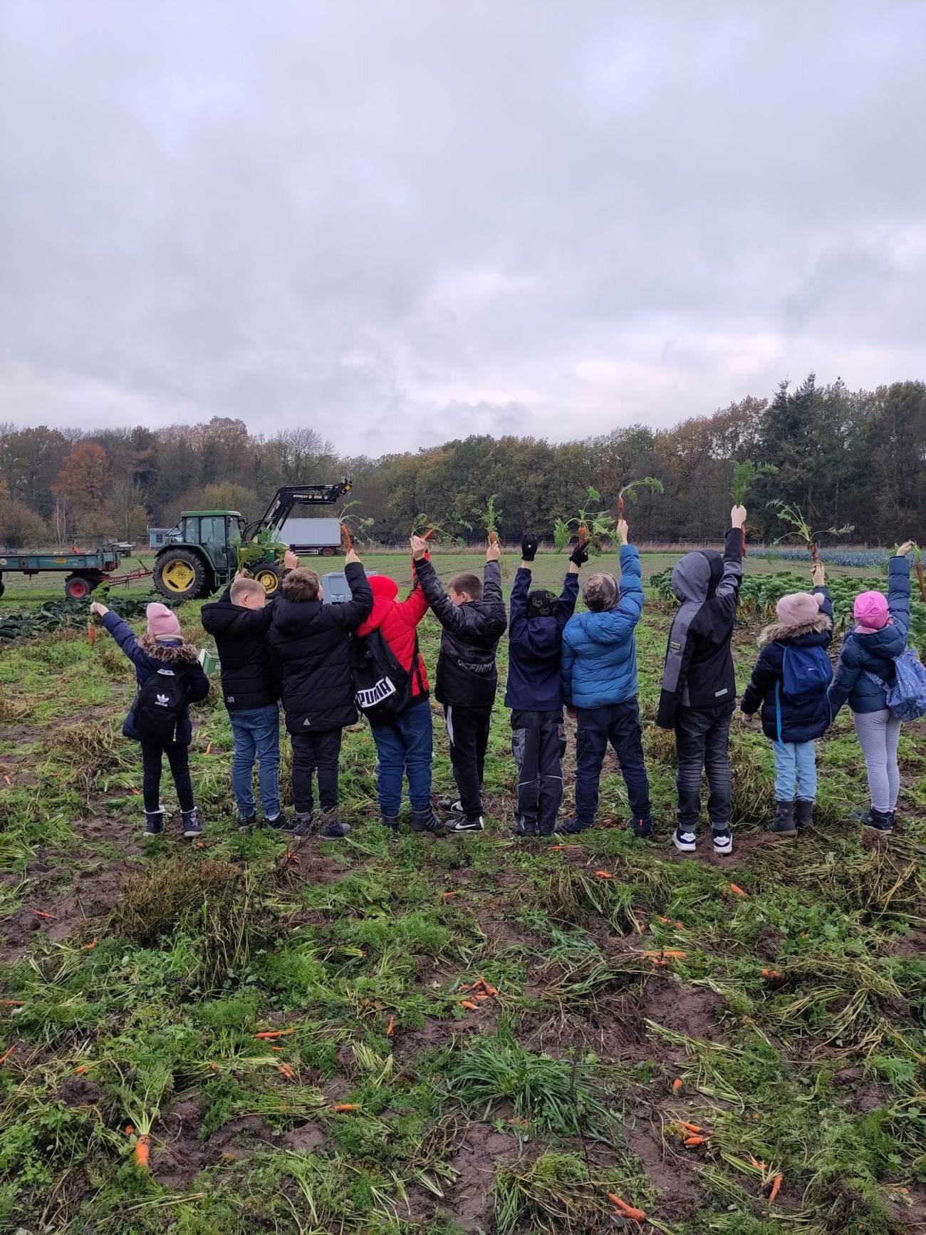 Bio, Landwirtschaft, Abo, Abokiste, Fleisch, Gemüse, Gemüsekiste, Bauernhof, Hof
